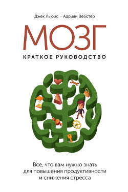 Мозг: краткое руководство. Все, что вам нужно знать для повышения эффективности и снижения стресса - Льюис Джек