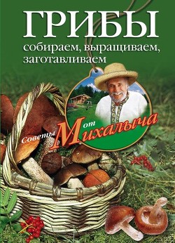 Грибы. Собираем, выращиваем, заготавливаем - Звонарев Николай Михайлович "Михалыч"
