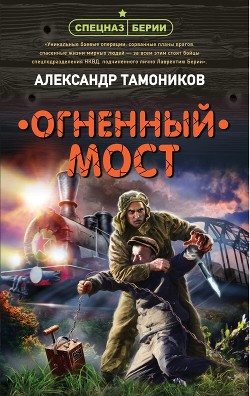 Огненный мост - Тамоников Александр