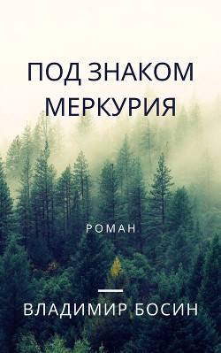 Под знаком Меркурия (СИ) - Босин Владимир Георгиевич "VladimirB"