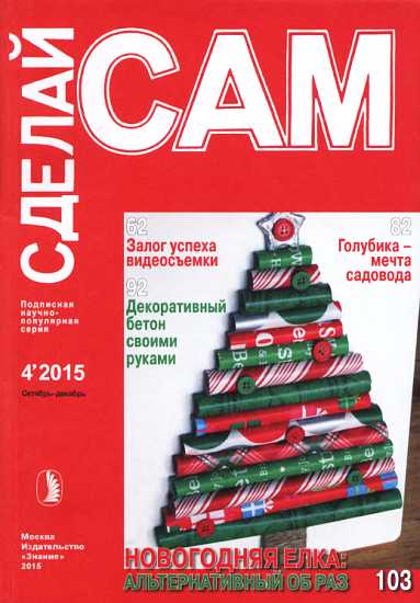 Залог успеха видеосъемки. Голубика-мечта садовода...("Сделай сам" №4∙2015) - Рубина