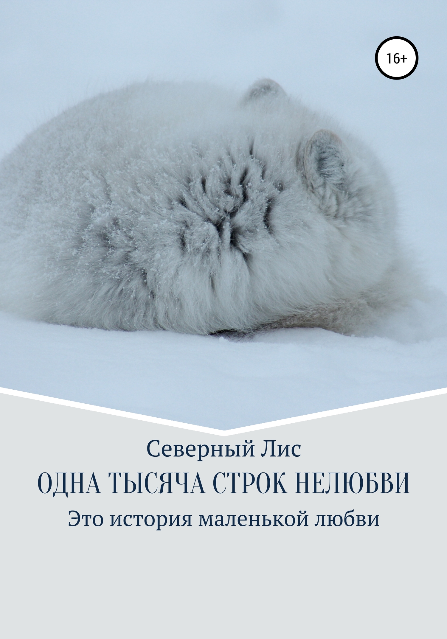 Одна тысяча строк нелюбви - Северный Лис