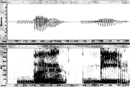 Дополнительная артикуляция согласных в связи с некоторыми фонетическими изменениями в русском языке - Сергей Владимирович Князев