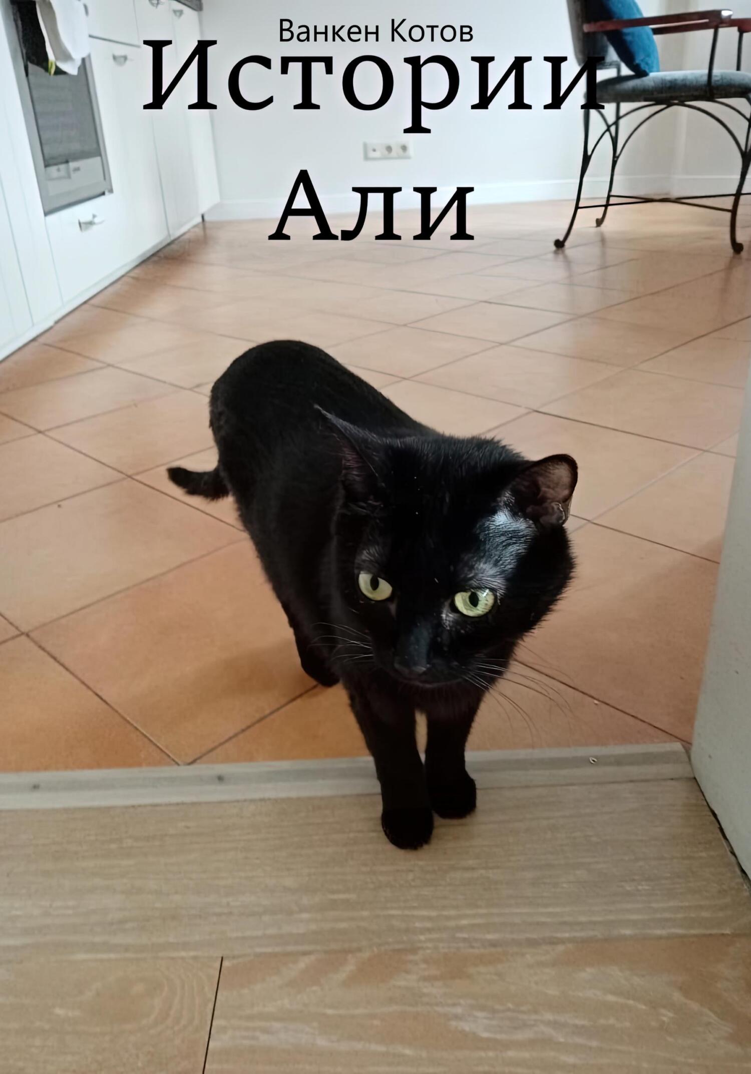 Истории Али - Ванкен Андреевич Котов