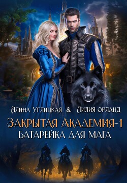 Закрытая академия – 1. Батарейка для мага - Углицкая Алина