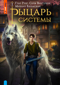 Рыцарь системы. Книга 1 - Винтеркей Серж