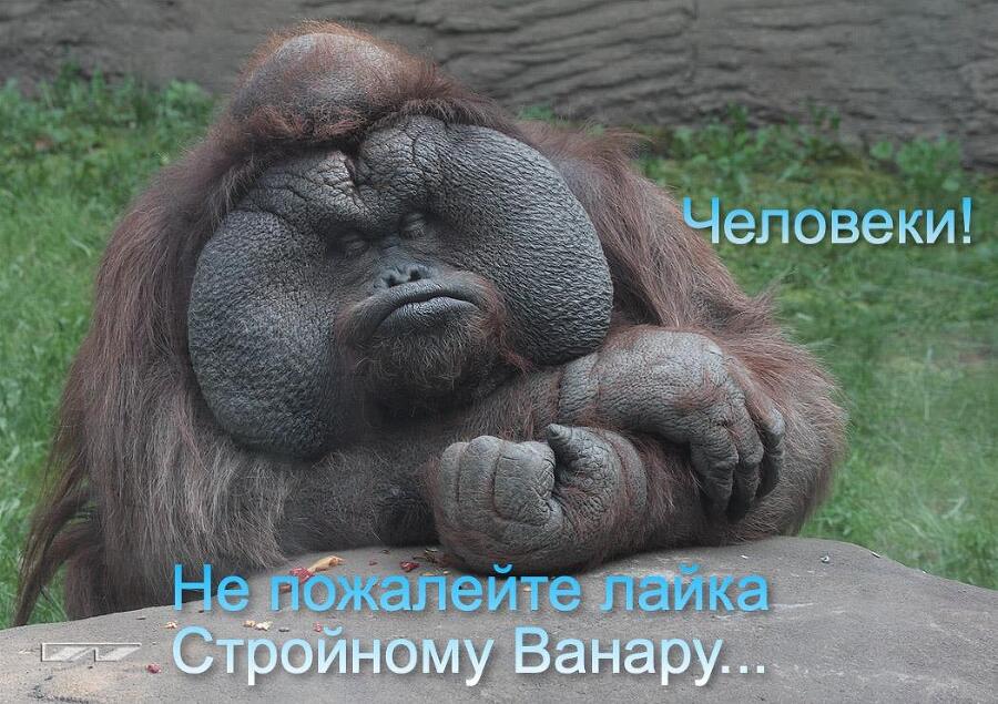 "Фантастика 2023-203", Компиляция. Книги 1-22 (СИ) - i_006.jpg