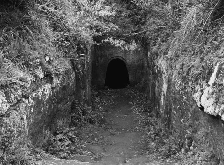 Спарта. Мир богов и героев - i_041.jpg