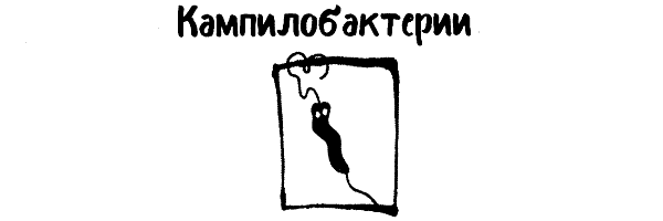 Микроб редко приходит один. Как микроорганизмы влияют на нашу жизнь - i_011.png