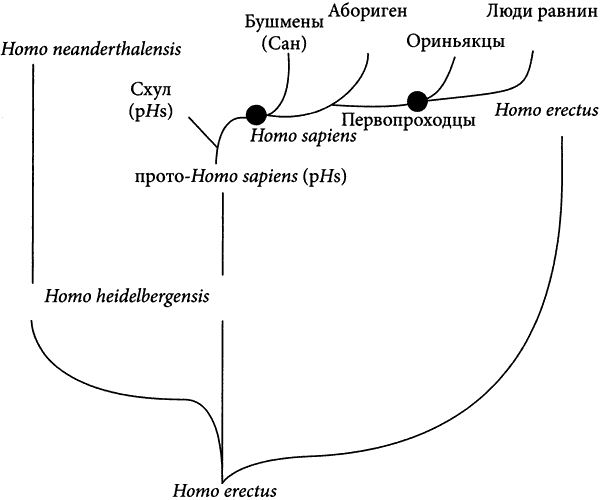 Вымершие люди: почему неандертальцы погибли, а мы — выжили - i_012.png