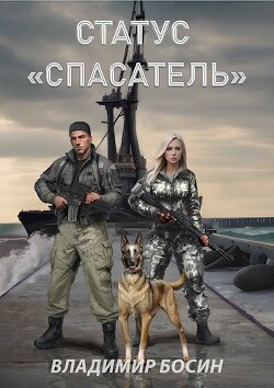 Статус "Спасатель" (СИ) - Босин Владимир Георгиевич VladimirB