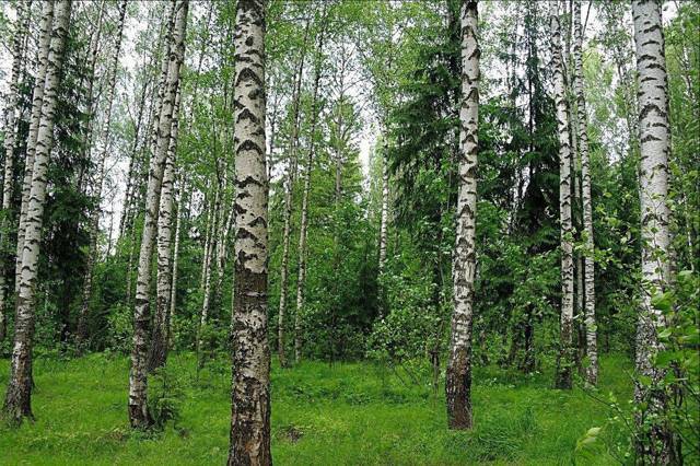 Град обреченный (СИ) - i_013.jpg