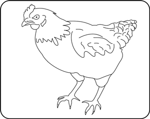 Компосты, почвы, удобрения - img_20.png