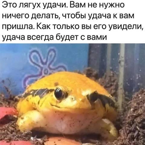 Новый Рал 7 (СИ) - _2.jpg