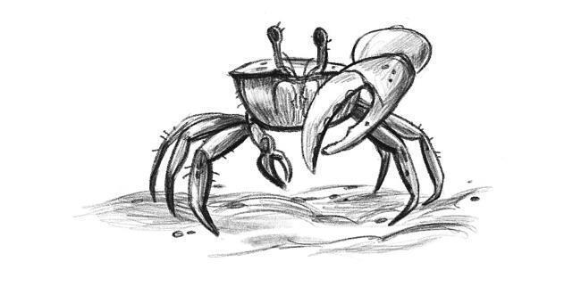 Островитяне (СИ) - i_007.jpg