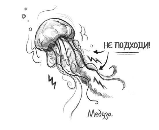 Островитяне (СИ) - i_011.jpg