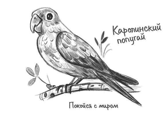 Островитяне (СИ) - i_014.jpg