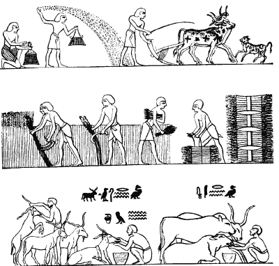 Другая история Средневековья. От древности до Возрождения - i_010.png