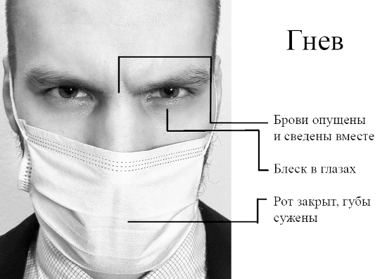 Прочитай меня. От бессознательных привычек к осознанной жизни - i_046.png