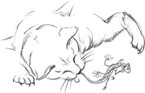 Всё о жизни чайных дракончиков - b00000307.jpg