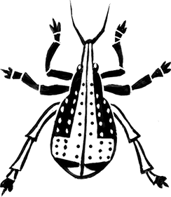 Мальчик из джунглей - i_004.png