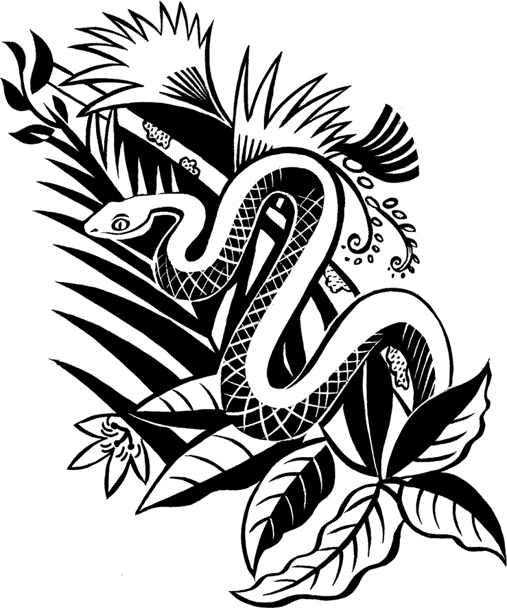 Мальчик из джунглей - i_005.png