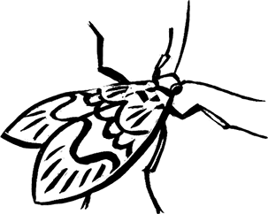 Мальчик из джунглей - i_006.png