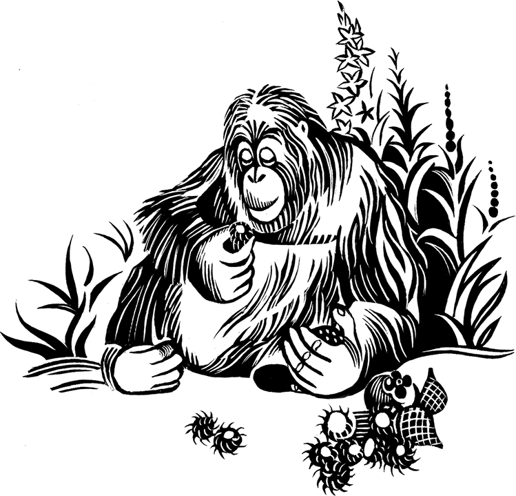 Мальчик из джунглей - i_014.png