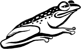 Мальчик из джунглей - i_016.png