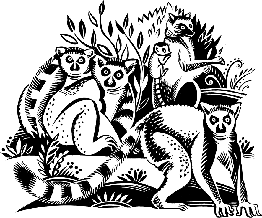 Мальчик из джунглей - i_017.png
