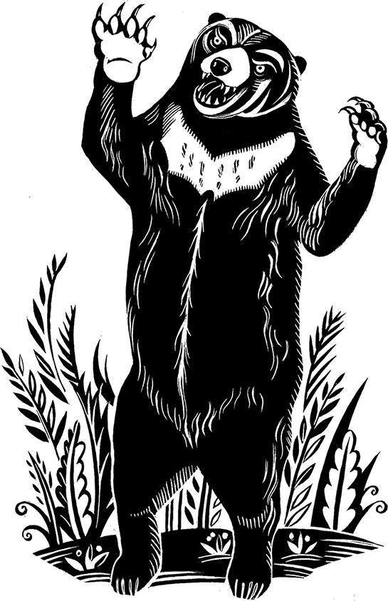 Мальчик из джунглей - i_018.png