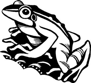 Мальчик из джунглей - i_019.png