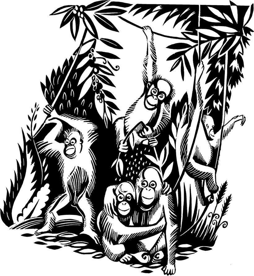 Мальчик из джунглей - i_020.png