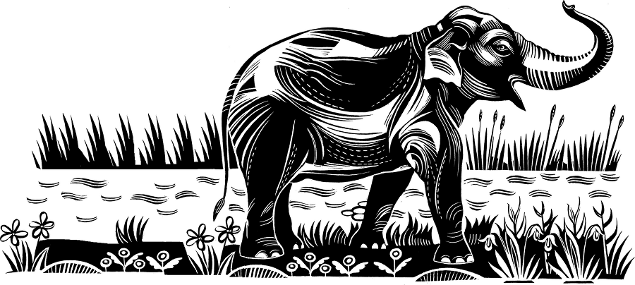 Мальчик из джунглей - i_022.png