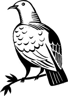 Мальчик из джунглей - i_023.png