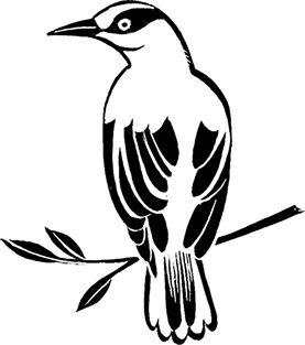 Мальчик из джунглей - i_025.png