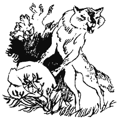 Книга Трех - i_36.png