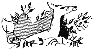 Книга Трех - i_37.png