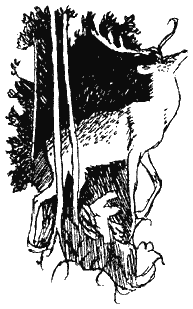 Книга Трех - i_40.png