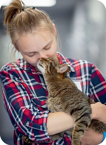 Главная книга владельца кошки - i_052.jpg