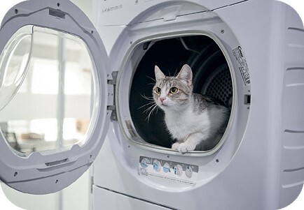 Главная книга владельца кошки - i_053.jpg