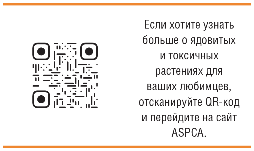 Главная книга владельца кошки - i_054.png