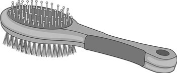 Главная книга владельца кошки - i_090.jpg