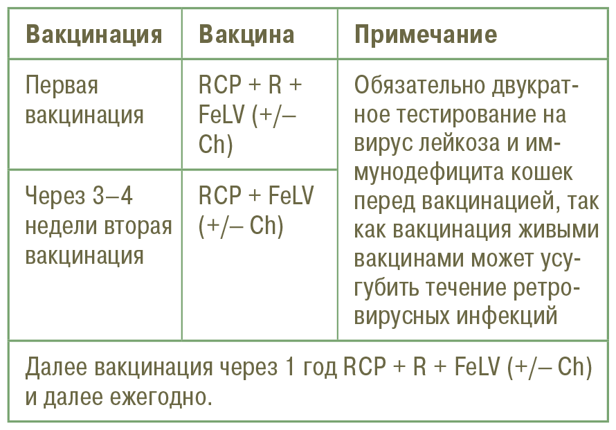 Главная книга владельца кошки - i_136.png
