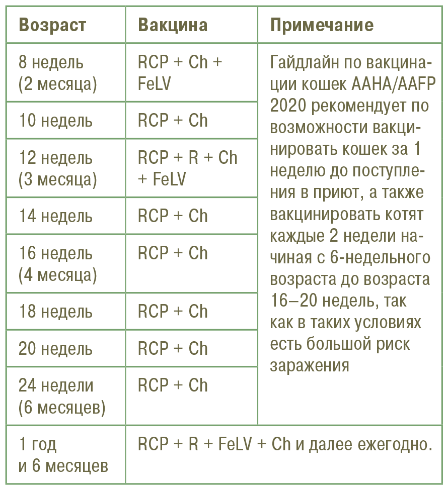 Главная книга владельца кошки - i_138.png