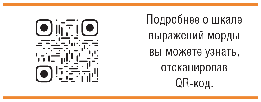 Главная книга владельца кошки - i_141.png