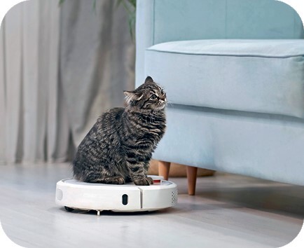 Главная книга владельца кошки - i_192.jpg