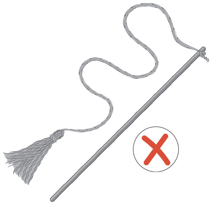 Главная книга владельца кошки - i_193.jpg