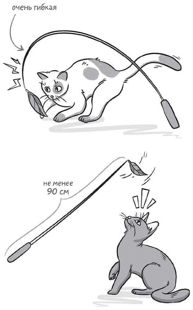 Главная книга владельца кошки - i_194.jpg