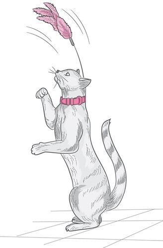 Главная книга владельца кошки - i_195.jpg